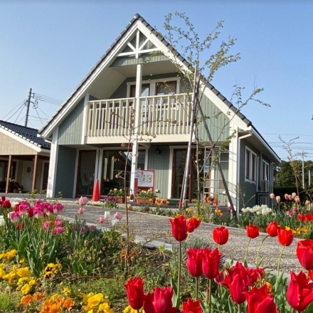 ものがたりの街の花壇の植え付け体験します