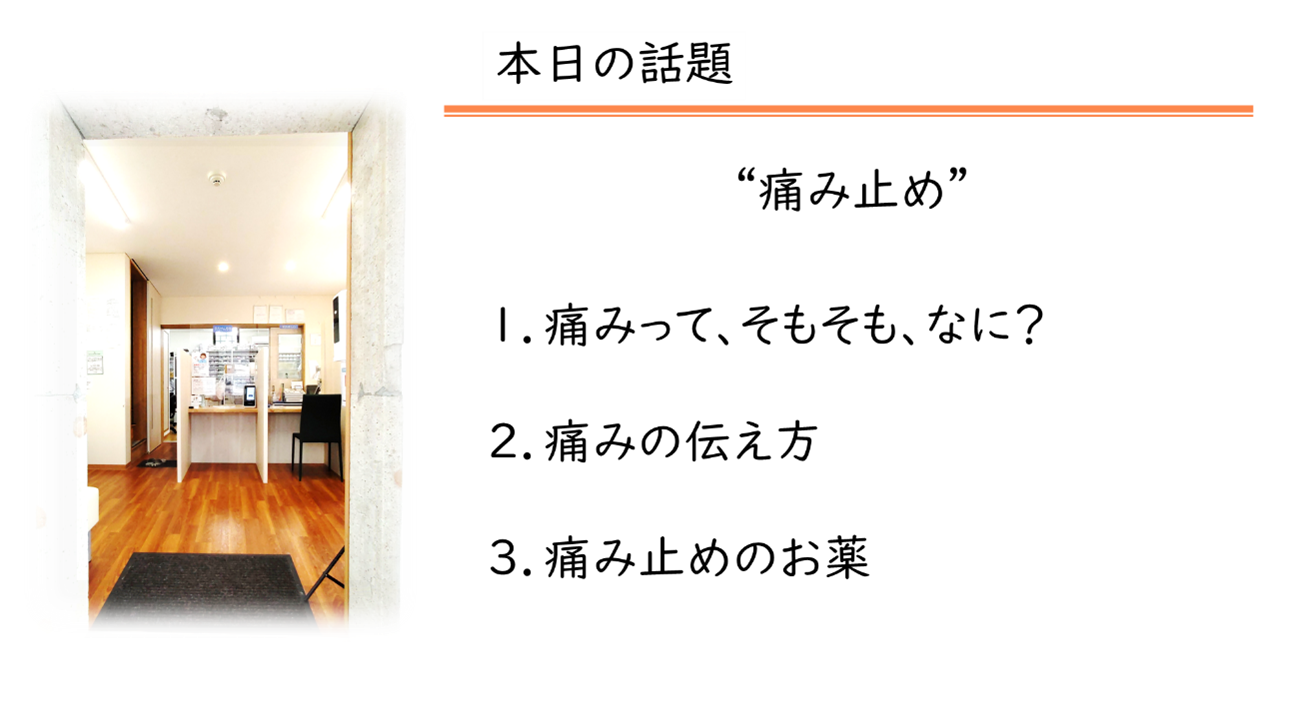 身近なくすり～痛み止め～