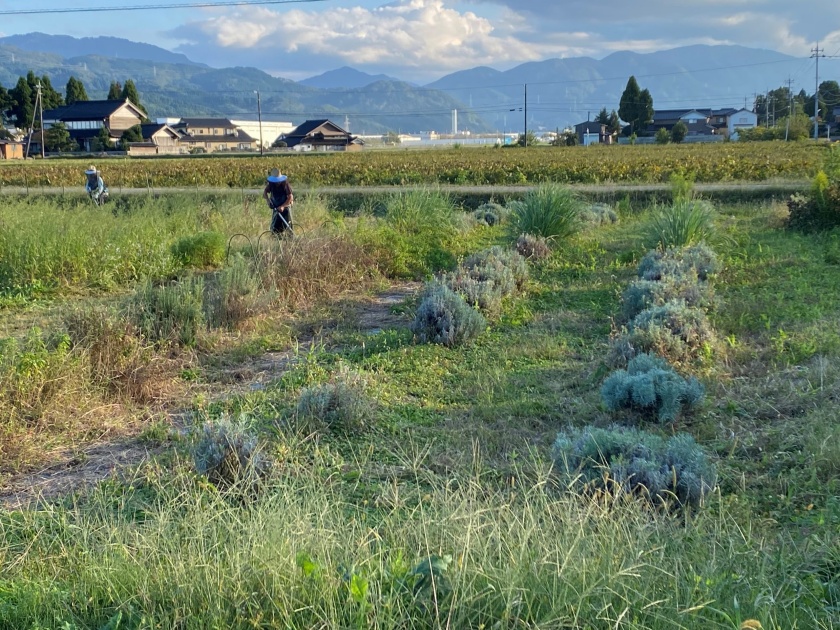 四季を感じ、ほっとする空間