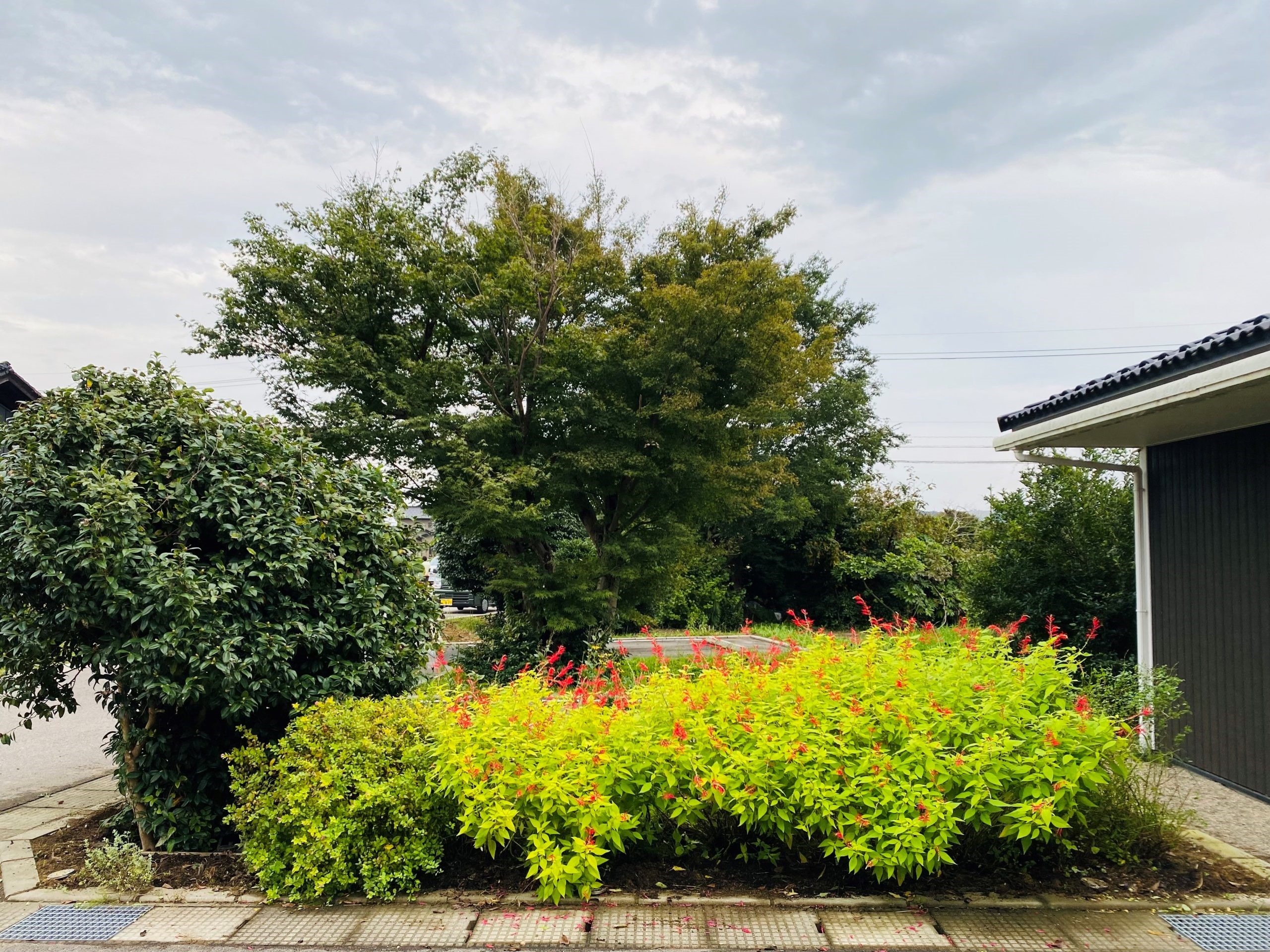 花壇の土作り